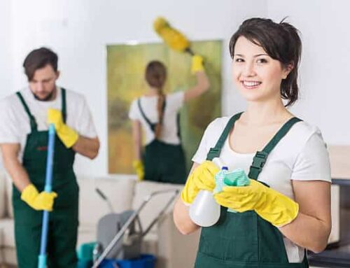 Finding the Right Cleaning Service for Your Brisbane Home