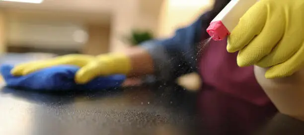 Bayside Cleaning Services
