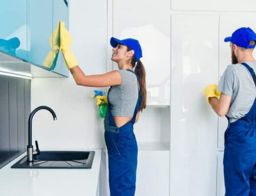 The Role of Professional Cleaners in Maintaining a Tidy Home