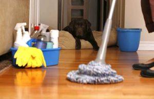Domestic cleaners in Saint Lucia – safe, affordable, and thorough