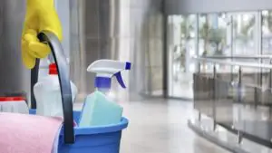 Dependable, quality cleaning services in Toowong