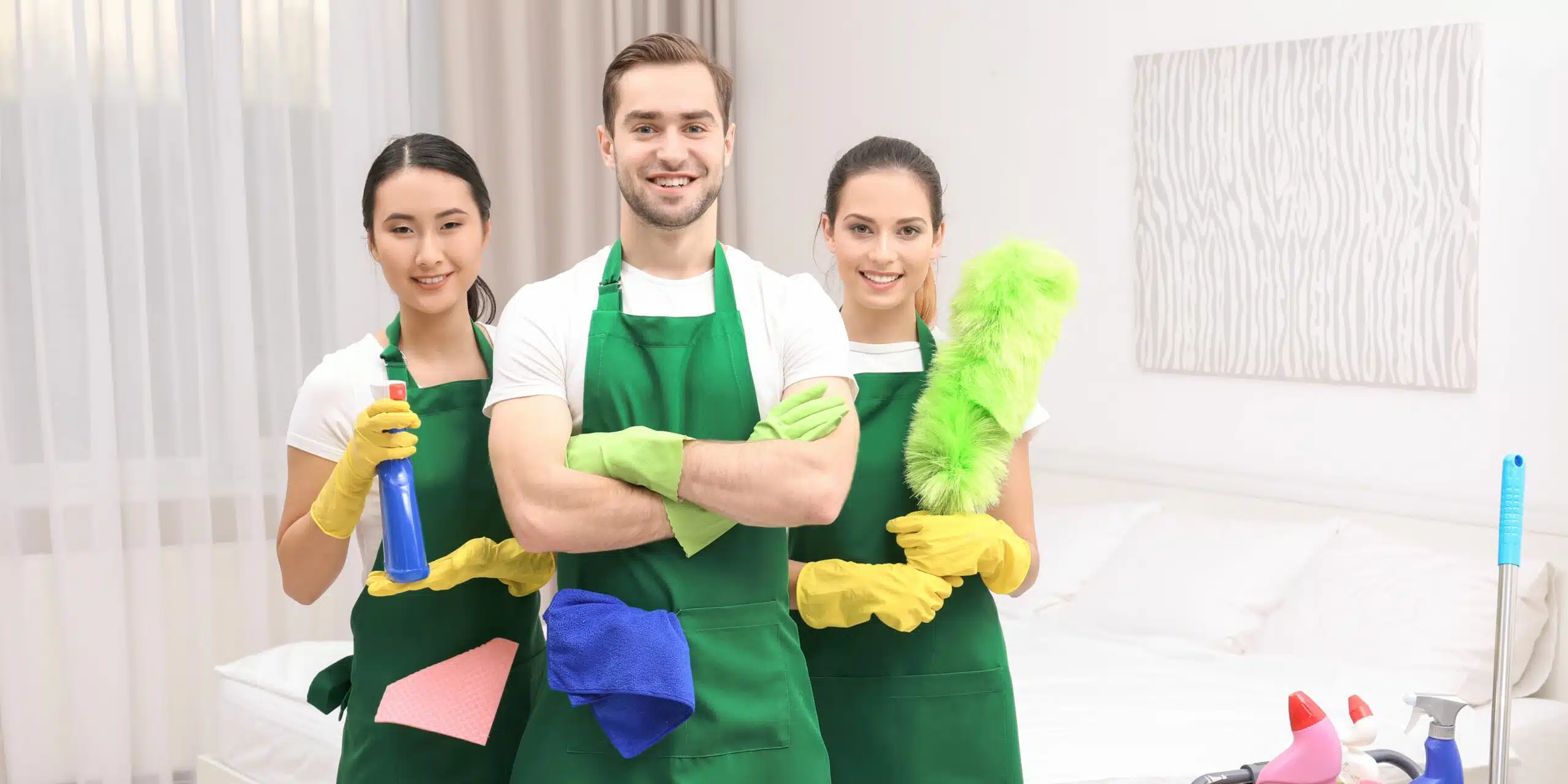 Professional Cleaners