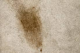Carpet Stain