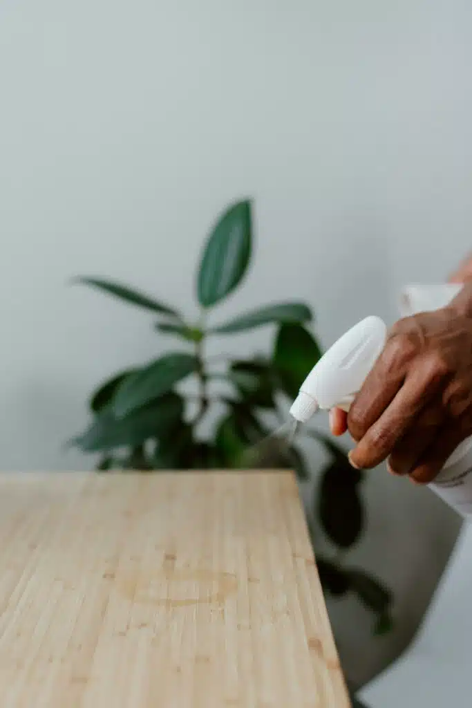 Cleaning Spray