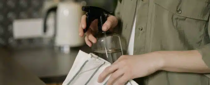 Cleaning Spray