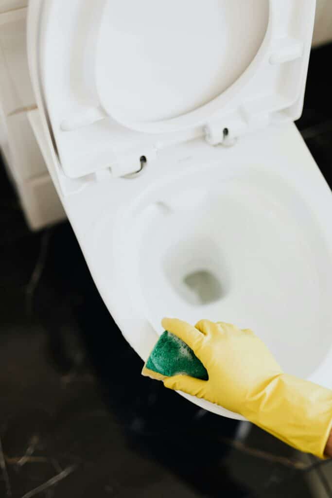 Cleaning the Toilet