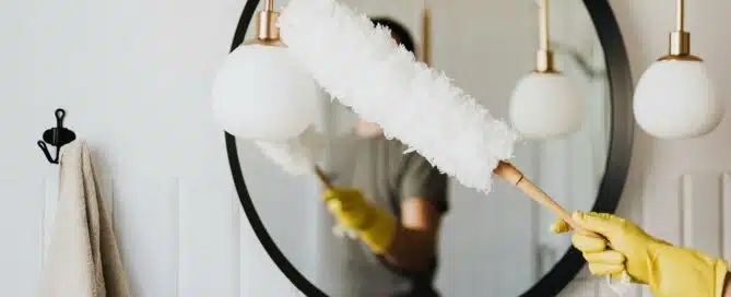 Dusting the Home
