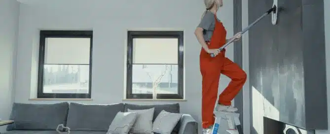 Wall Cleaning